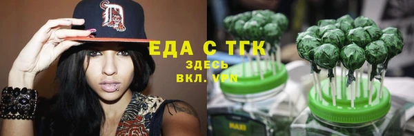 стаф Медногорск