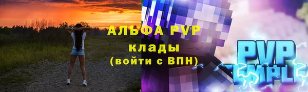стаф Медногорск