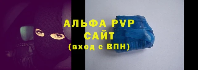 стаф Медногорск