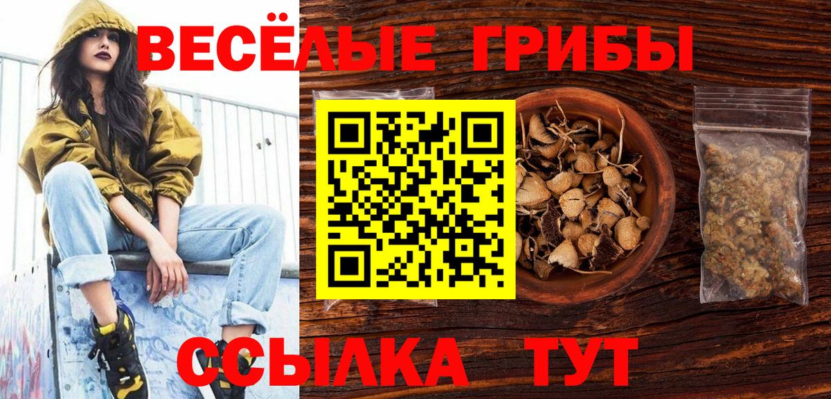 Псилоцибиновые грибы Cubensis  Псилоцибиновые грибы мицелий  Вход с VPN  наркотики  Новокубанск 