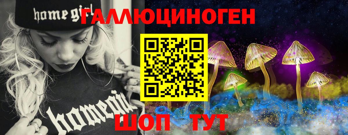 Мефедрон  Новокубанск  Кокаин  Вход с VPN  MDMA  Экстази  CBD масло  Марихуана  Герыч  ГАШ 