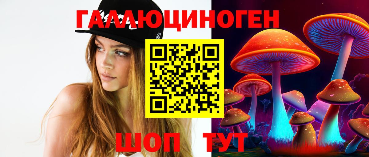 Галлюциногенные грибы Psilocybe Новокубанск