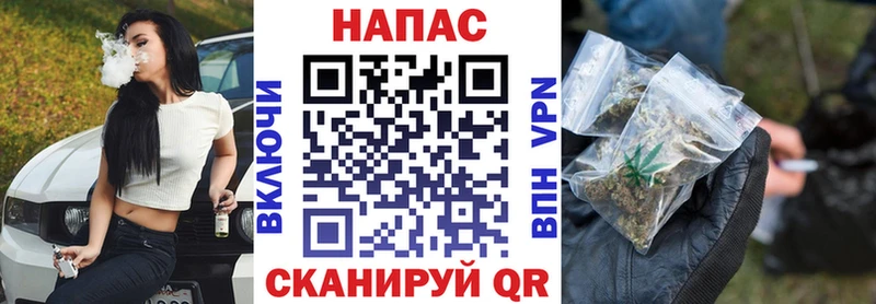 Шишки марихуана марихуана  Новокубанск 